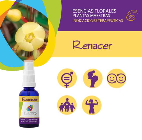 EF Renacer